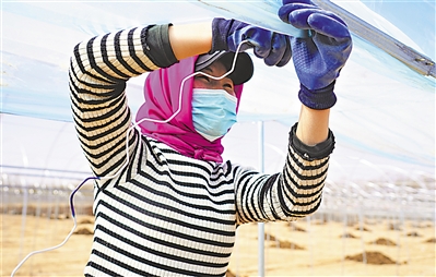 <p>　　农户在产业链中实现增收。</p>