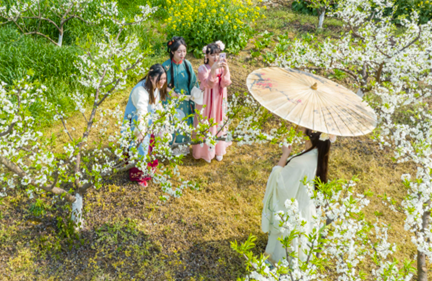 2游客在李花丛间拍照留念。通讯员 刘纪湄 摄