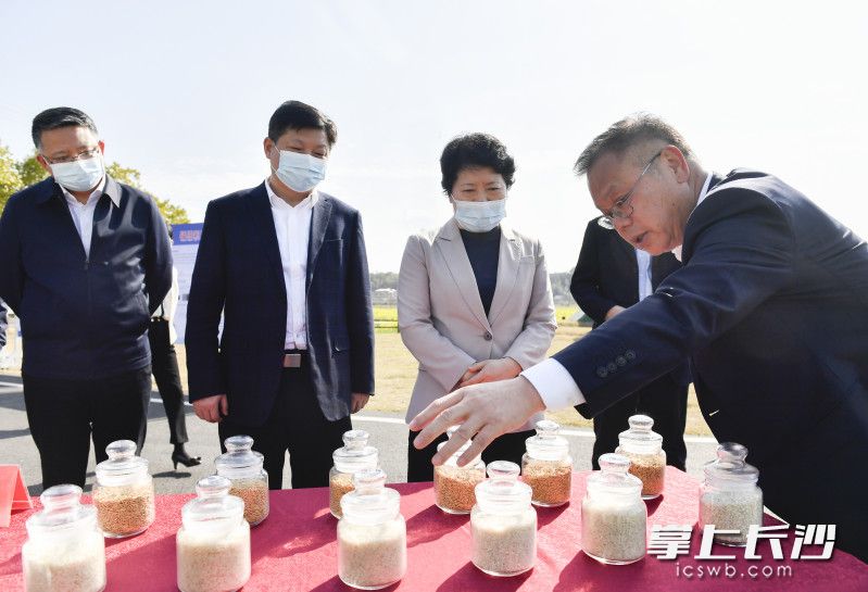 3月9日下午，省委常委、市委书记吴桂英在长沙县调研乡村振兴、春耕备耕和粮食生产工作，与院士专家、种植户们共话种业发展、春耕备耕。均为长沙晚报全媒体记者 余劭劼 摄