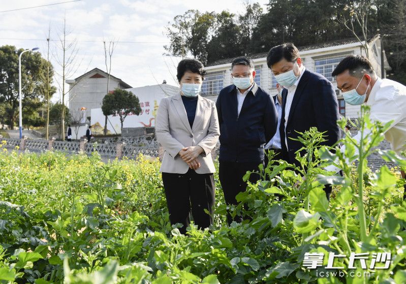 吴桂英在春华镇调研美丽宜居村庄建设。