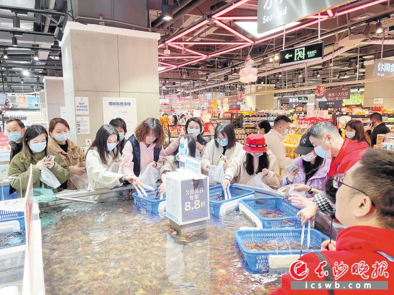 　　日前，长沙小龙虾抢鲜上市，在盒马长沙润和国际店，消费者正在选购小龙虾。长沙晚报全媒全记者吴鑫矾 摄