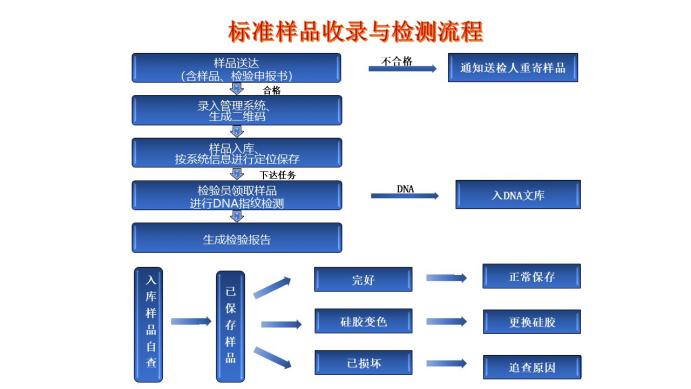 杜绝假种苗以假乱真 “湖南籍”油茶可鉴定“身份”