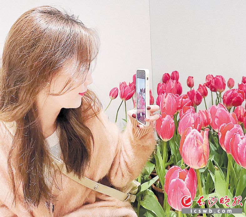 　　市民在商铺内拍照打卡，留住春天的记忆。