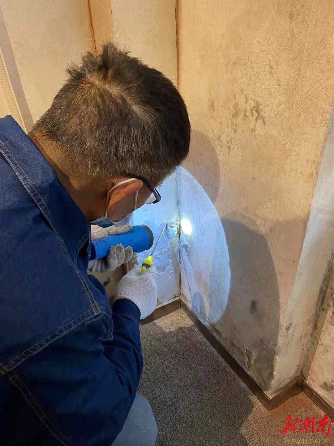 湖南日报|长沙“白蚁分飞期”来临  防治站一天接128个求助电话  专家教你如何应对