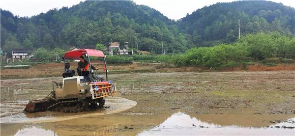 旋耕机翻犁水田。特约通讯员 赵武强 摄