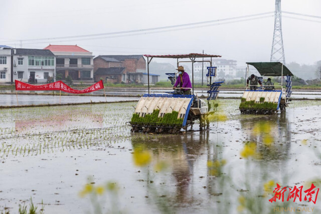 湖南日报丨衡山县推广早稻机插机抛  “一台机器可顶10个劳力”