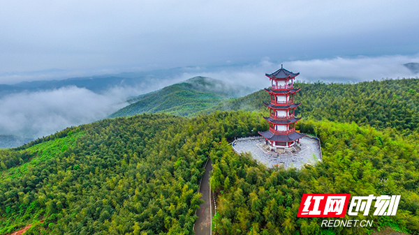 秦国文：雁到衡阳不南飞，客到南岳不思归