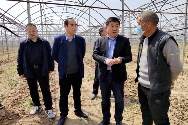 房玉林一行在合阳丰阜农业园区现场进行技术培训和指导.jpg