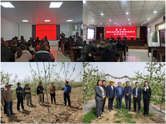 西北农林科技大学&ldquo;科技工作者之家&rdquo;项目组成员高华研究员在外开展技术培训.png
