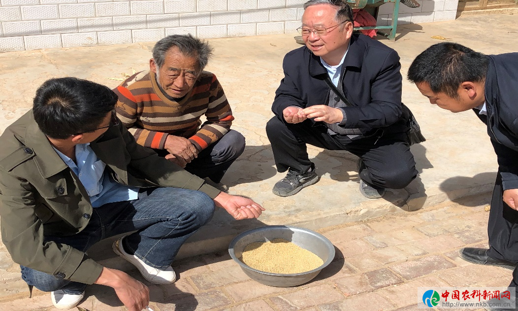 糜子生产农户调研.png