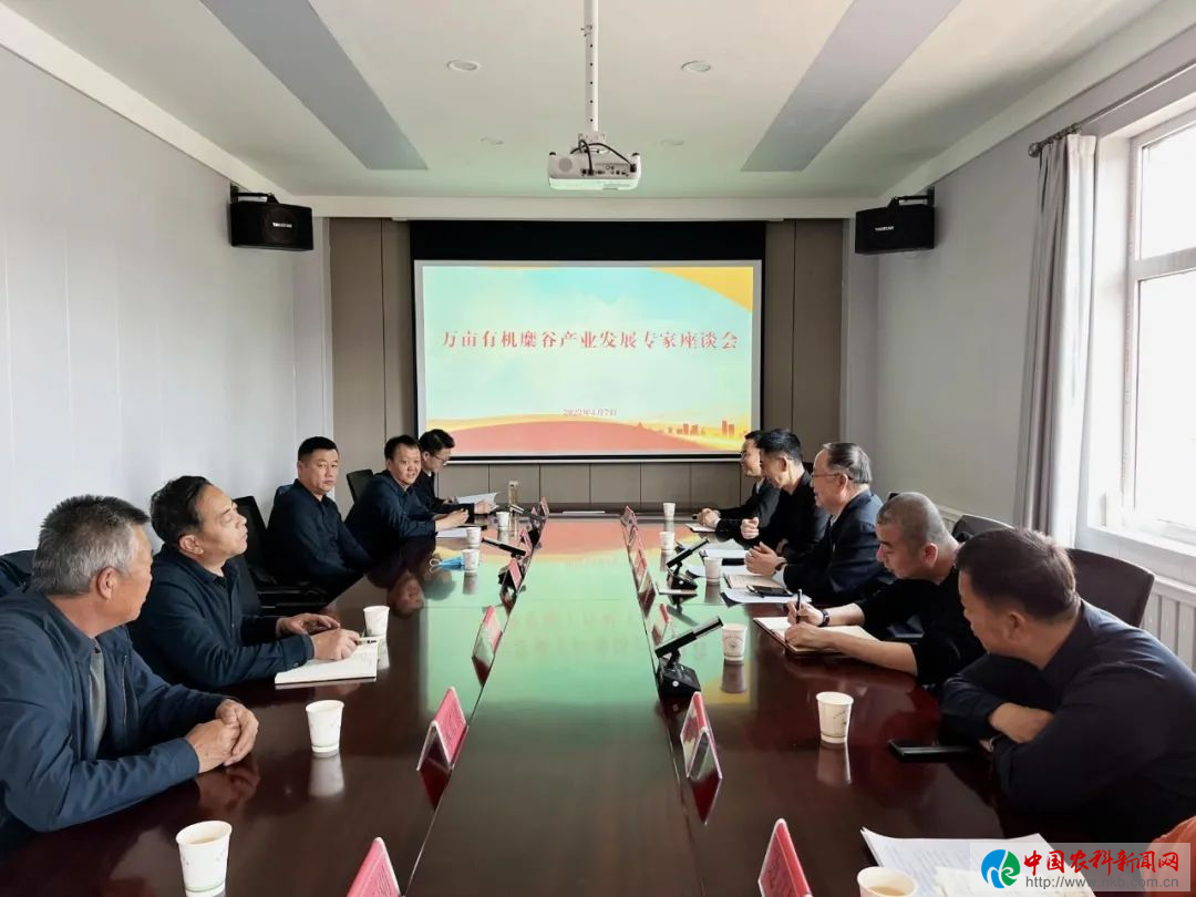 府谷县万亩有机糜谷基地建设座谈会.png