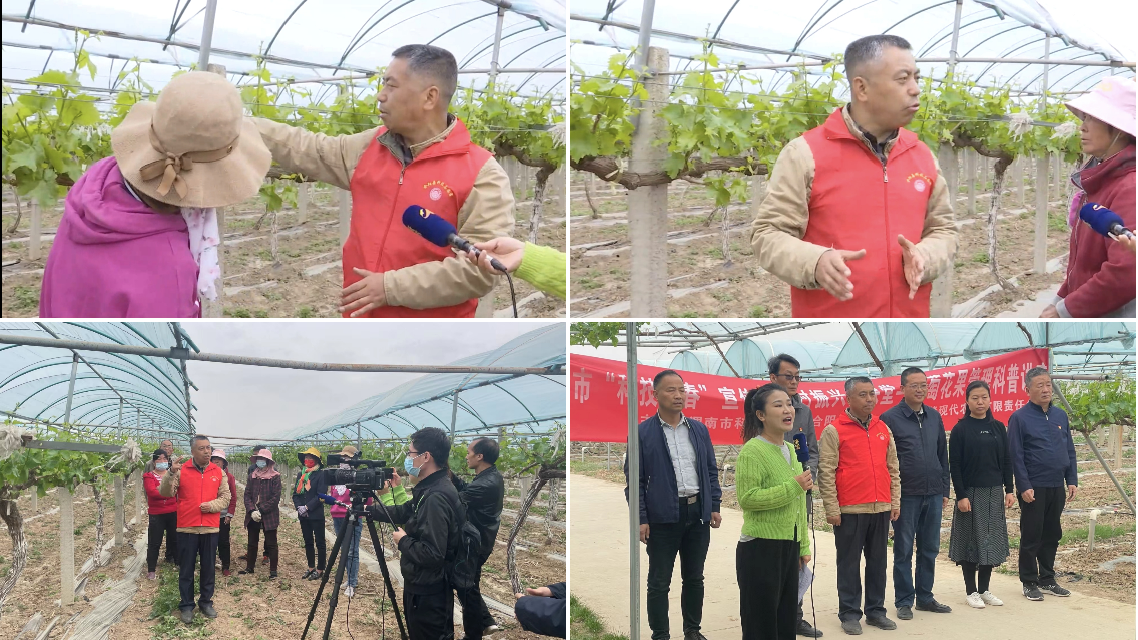 西北农林科技大学葡萄技术培训在行动2.png
