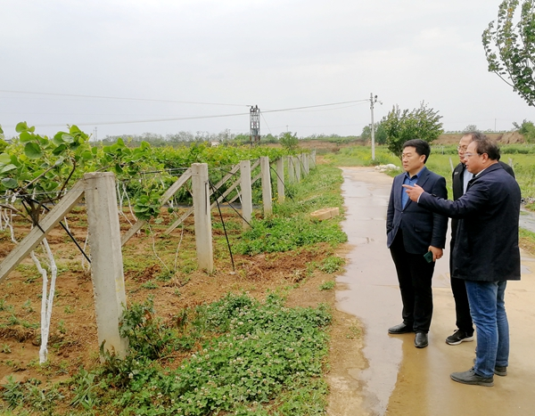 杨凌综合试验站调研.png