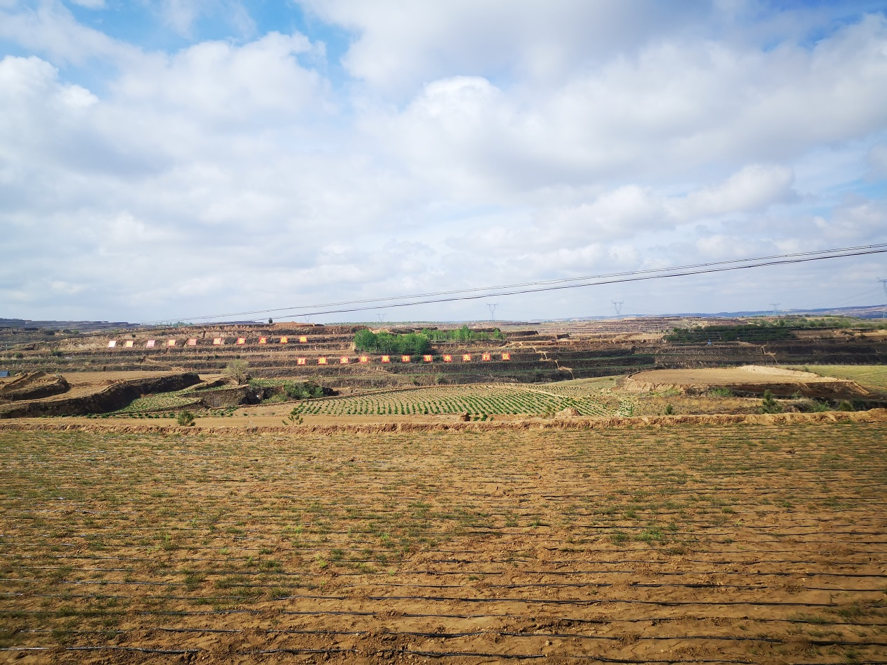 横山区旱作农业示范基地.png