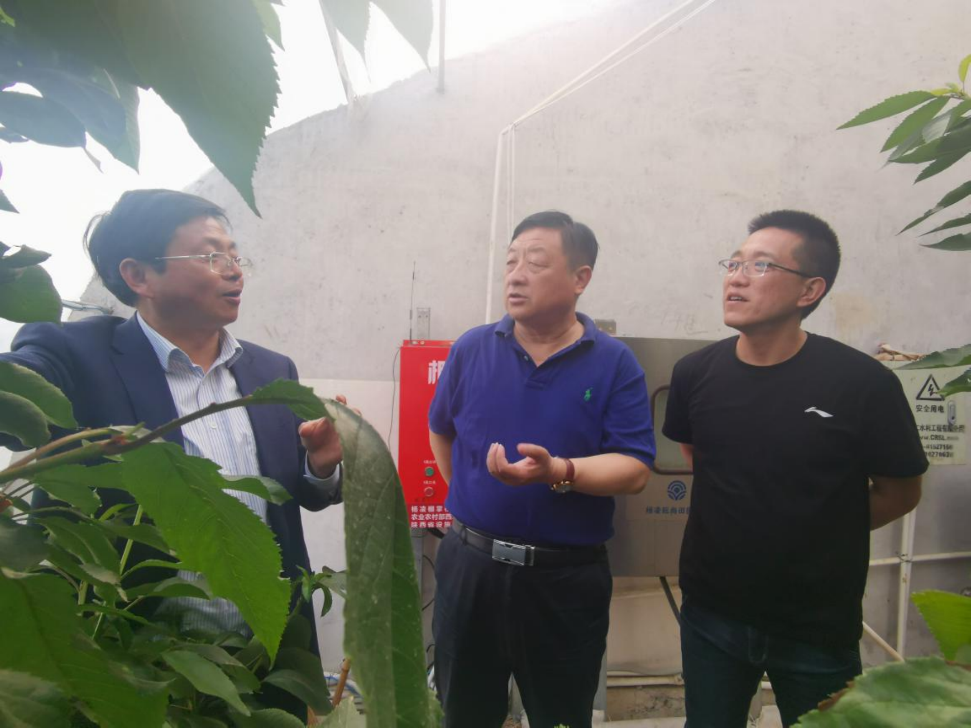 西北农林科技大学专家赴杨凌智慧农业园
指导设施樱桃栽培技术服务3.png