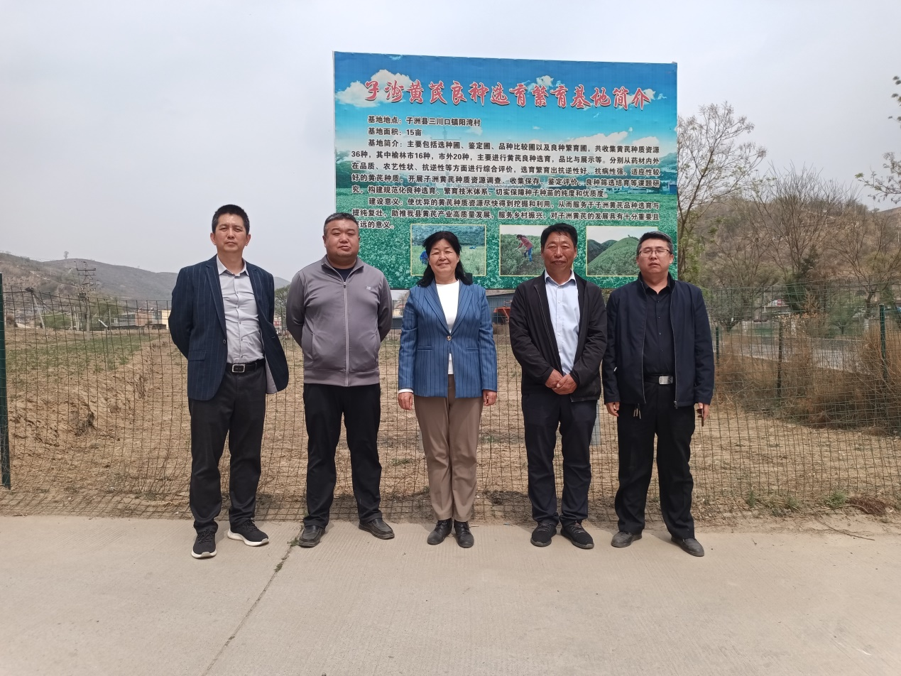 西北农林科技大学王渭玲教授赴陕西
榆林市子洲县指导培训中药材种植产业4.png