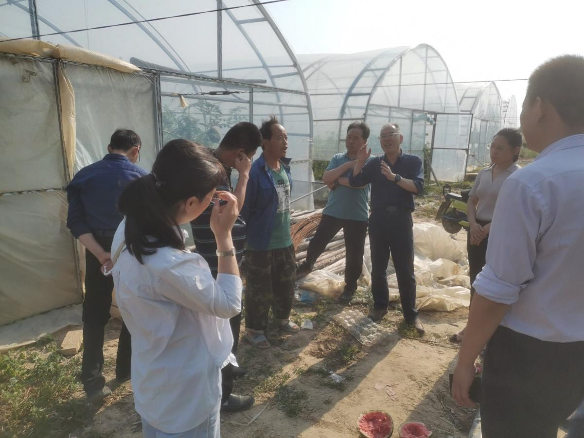 助力乡村振兴西甜瓜西北农林科技大学专家在行动2.png