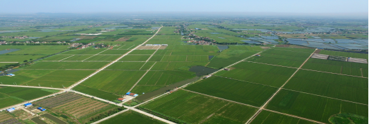 新闻报道--金坛区：“四驱”发力  助推农产品加工业产业“加速跑”346.png