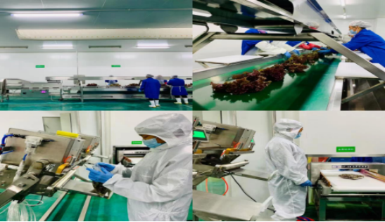 新闻报道--金坛区：“四驱”发力  助推农产品加工业产业“加速跑”1044.png