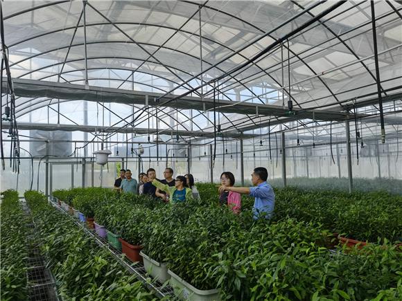 科技特派员开展走访服务。特约通讯员 李慧敏 摄