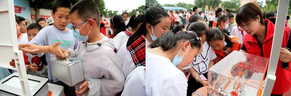 西北农林科技大学开展“小昆虫 大科技”系列活动7.png