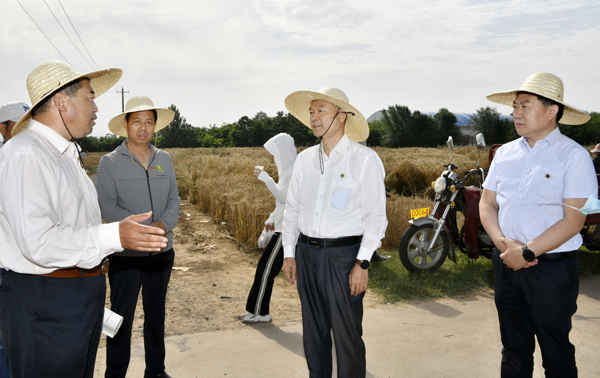 75.西北农林科技大学党委书记李兴旺看慰问“三夏”劳动师生1.png