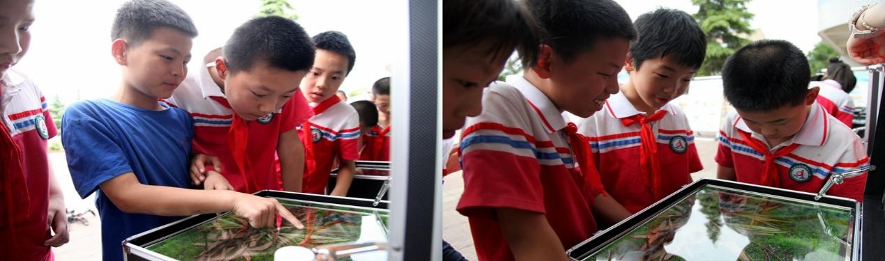 78.西北农林科技大学科技大篷车进校园 点亮孩子们的科技梦6.png