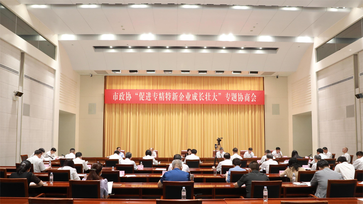 市政协召开&ldquo;促进专精特新企业成长壮大&rdquo;专题协商会 雷杰主持
