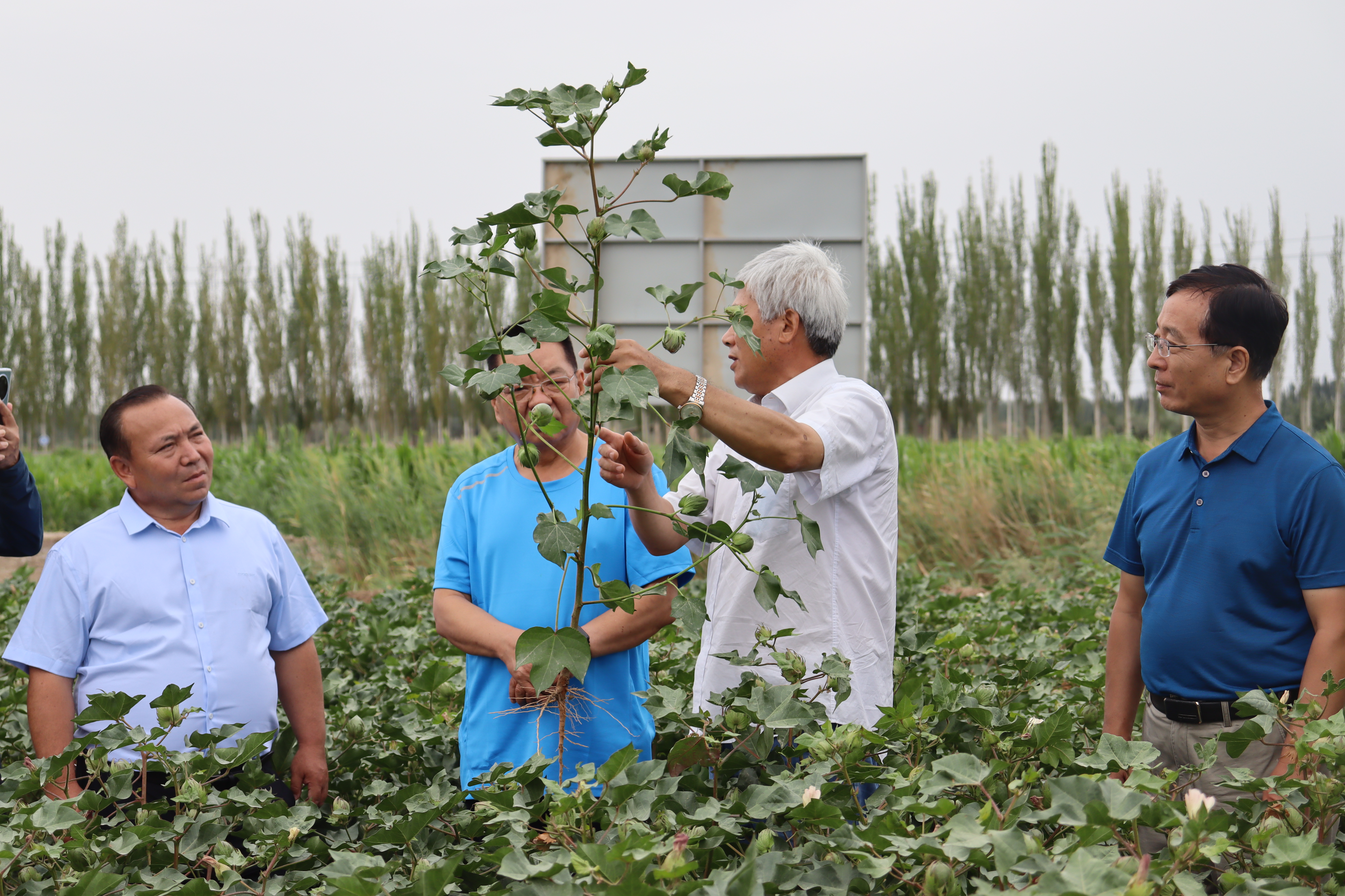专家在介绍棉花现代种业科技创新团队项目.JPG