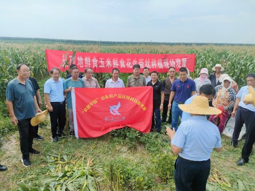 观摩测产 照片11.jpg