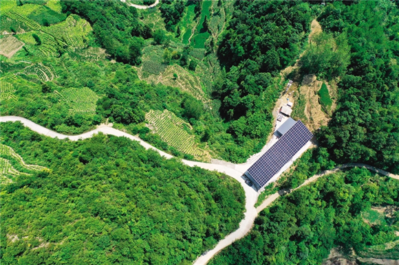 桑园环抱着养蚕大户熊春明的光伏养蚕大棚。武陵都市报记者 杨敏 摄