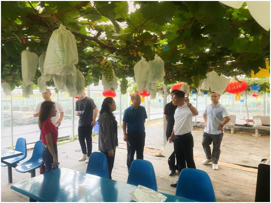 微信图片_20220816165219