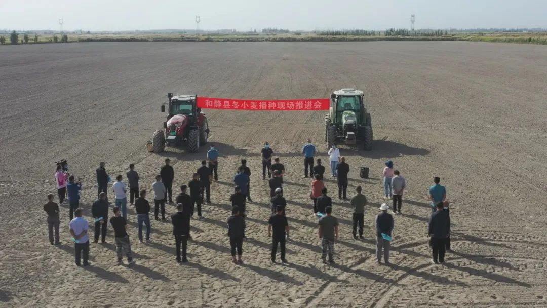 和静县召开冬小麦播种现场推进会.png