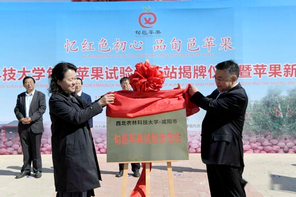 107.西北农林科技大学陕西旬邑苹果试验示范站正式揭牌.png