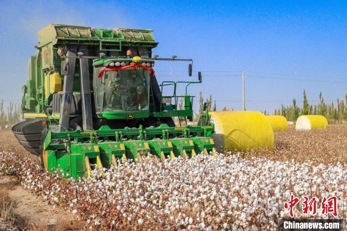 当地农牧民群众趁着秋高气爽好天气，在田野里忙碌，呈现出一幅幅喜人的丰收景象。　年磊 摄