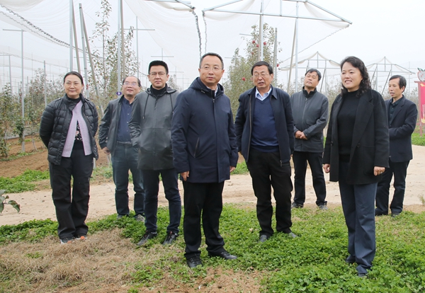 114.西北农林科技大学校领导带队赴延安调研苹果产业高质量发展和乡村振兴11.png