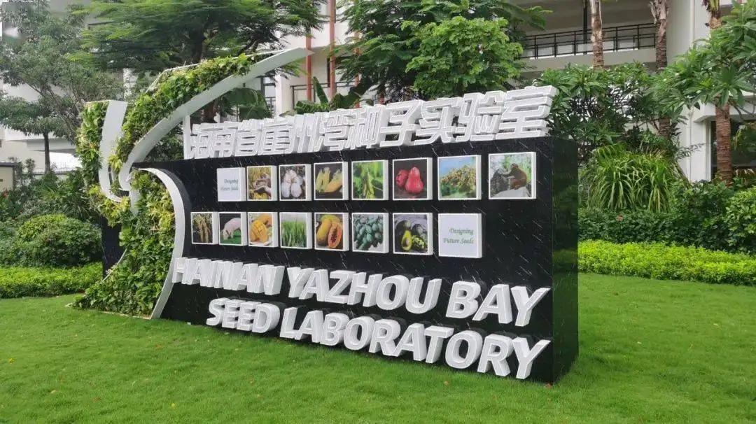 src=http __p6.itc.cn_q_70_images03_20220203_ad396ac01c2043bb80a2b777b7cf51a1.jpeg&refer=http __p6.itc.webp