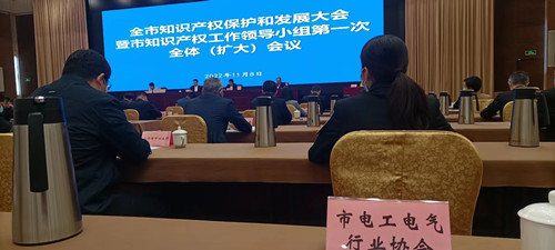 11.8市知识产权保护和发展大会_副本.jpg