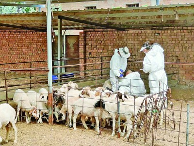 听，青春在“科技小院”里拔节生长