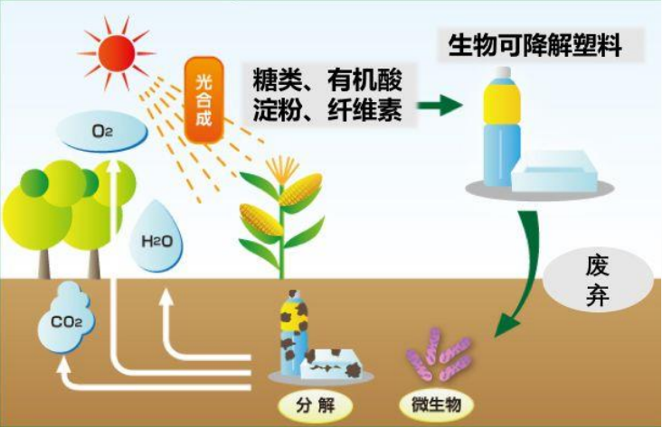 全生物降解的绿色环保包装解决方案